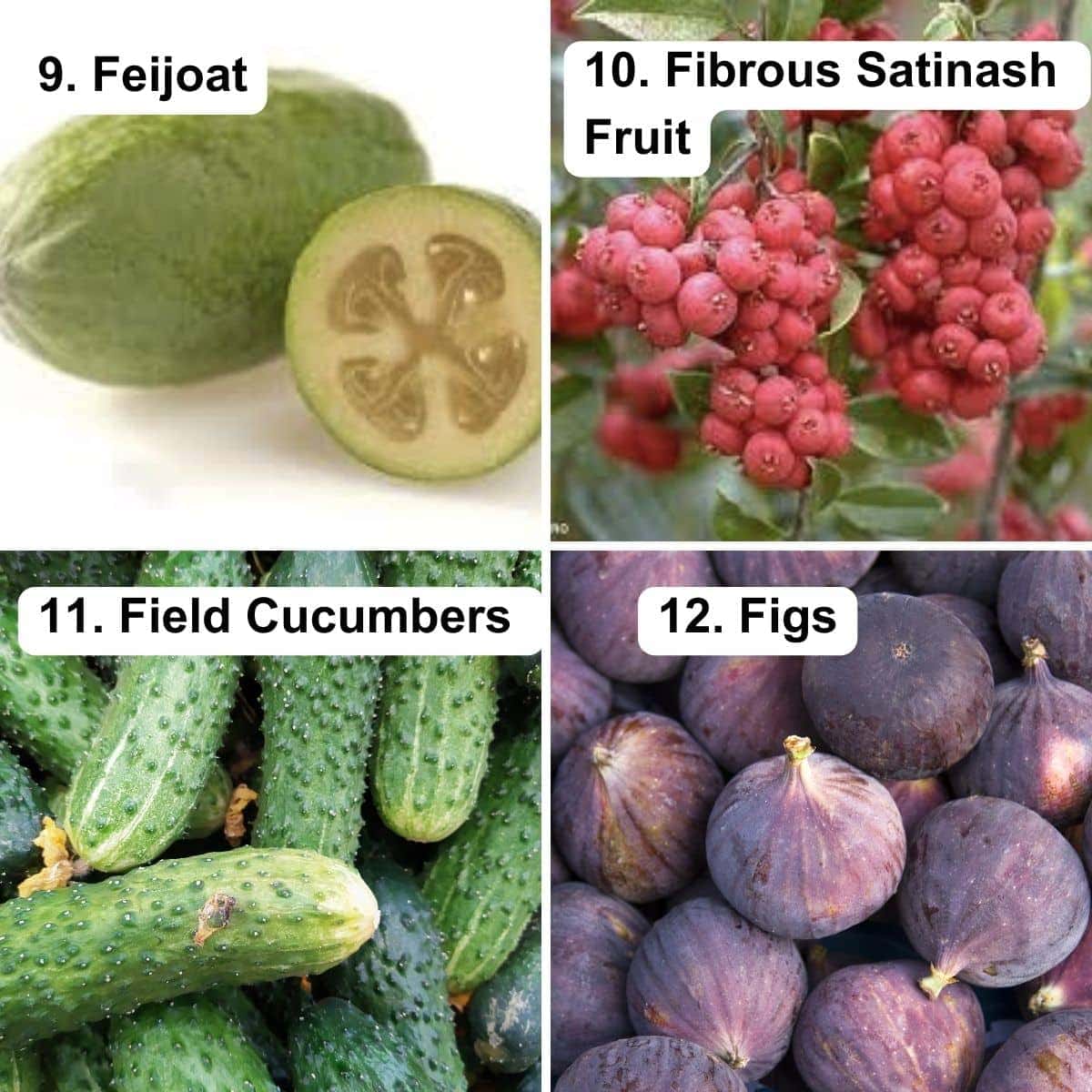 Feijoat, fibrous stinash fruit, field cucumbers, figs. 