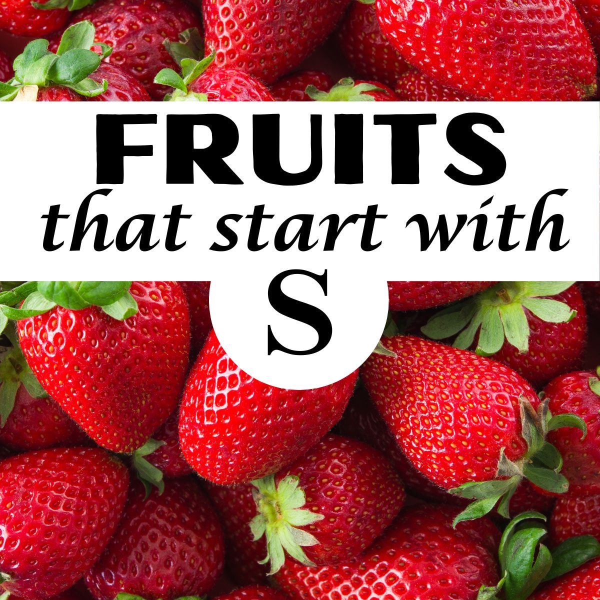 Close up of strawberries, with the title "fruits that start with S."