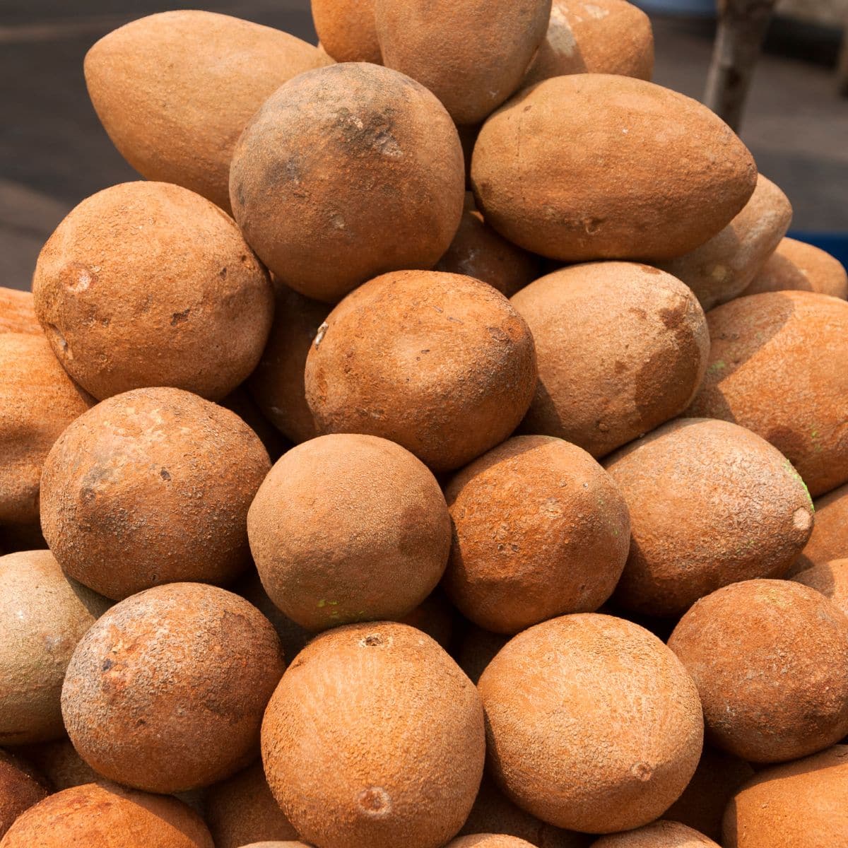 A stack of quararibea fruit on a fruit stand.