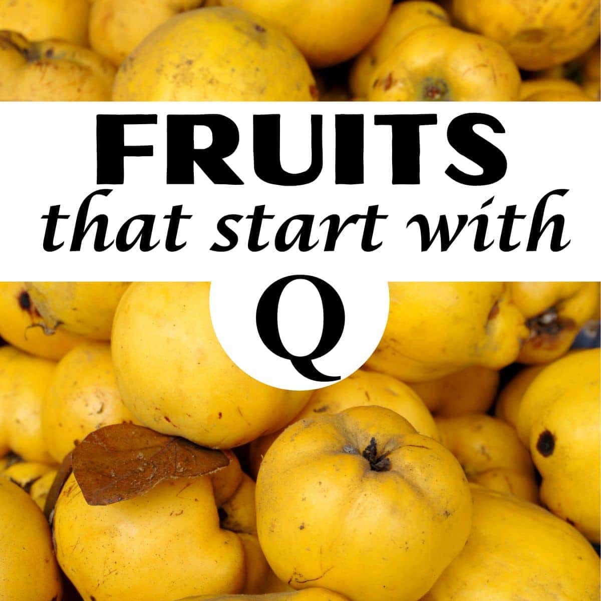 A collection of quince fruits with the title, "Fruits that Start with Q."