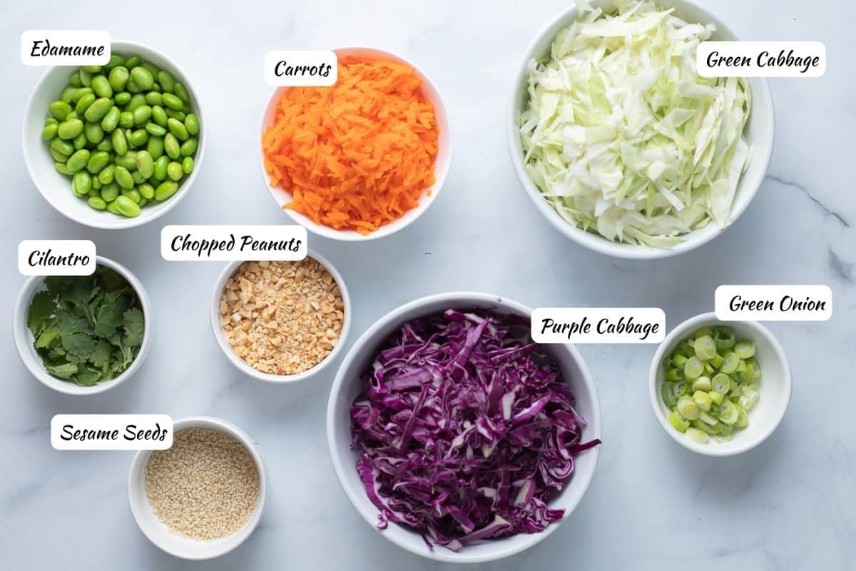 Asian Cabbage Salad Ingredients: edamame, carrots, green cabbage, green onion, purple cabbage, chopped peanuts, sesame seeds, cilantro.