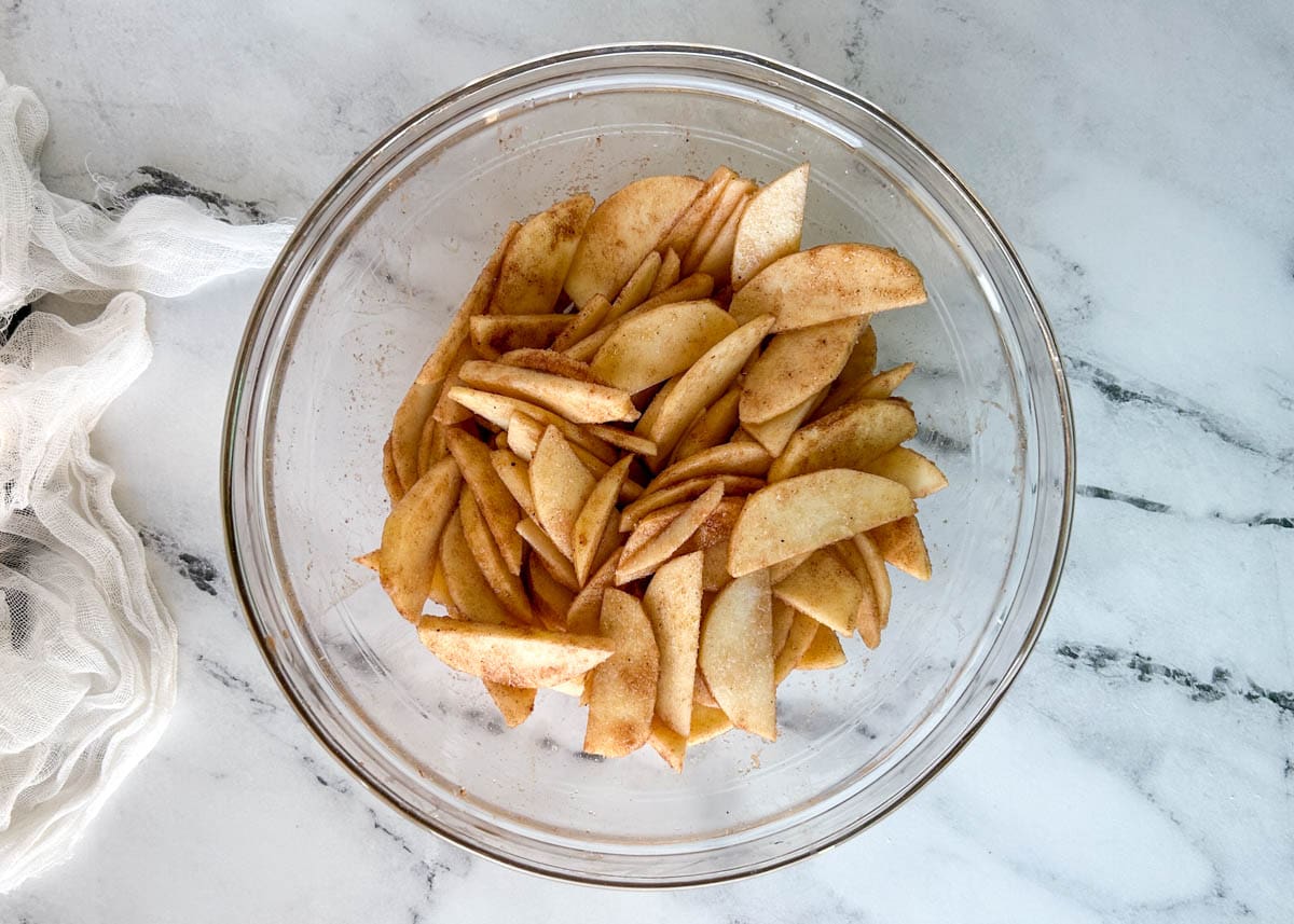 Thinly sliced apples coasted in cinnamon sugar.